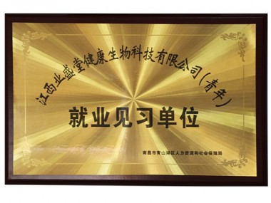 南昌市就業(yè)見(jiàn)習單位